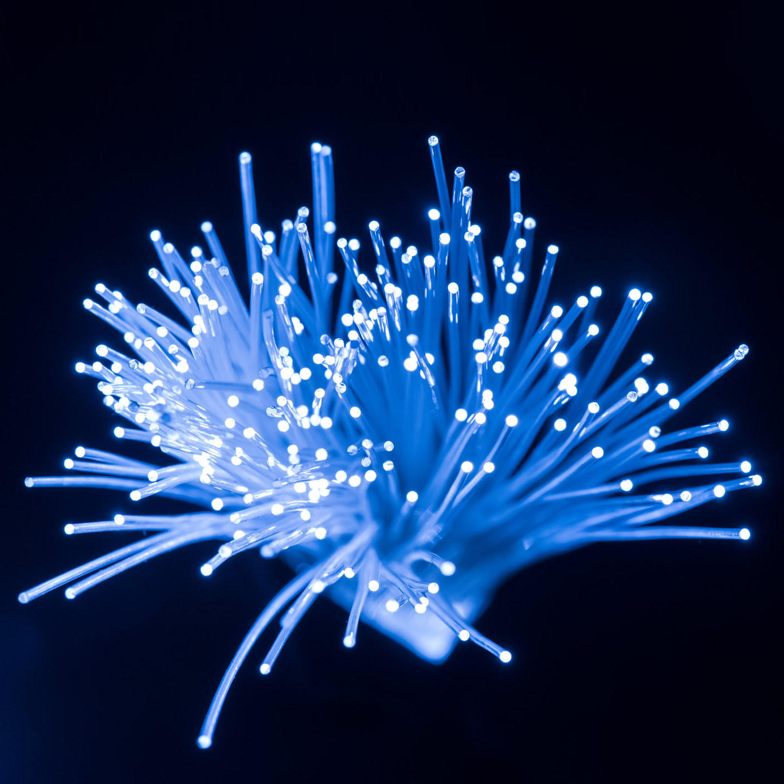100 Meter Lichtgeleidende Opti - Decor Lighting Fixtures recensie en prijs