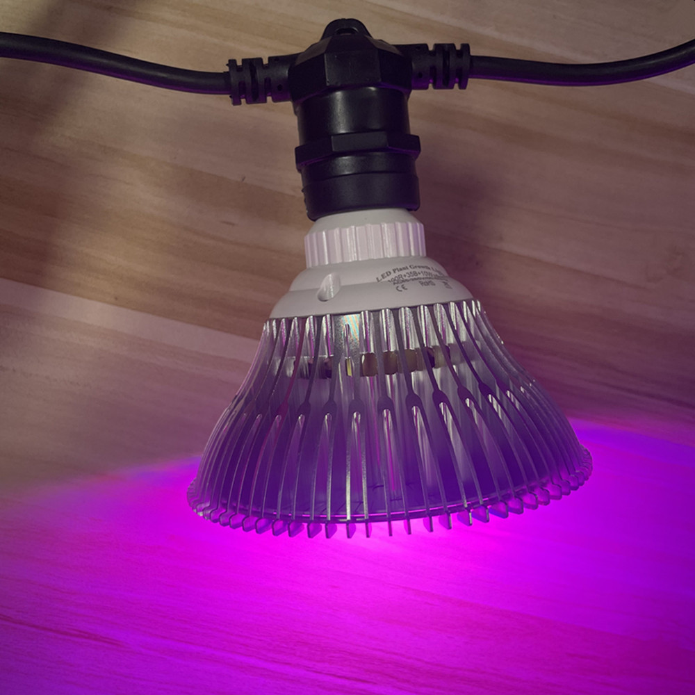 10M kabel LED-slinger van comm - Lighting Decor Wedding recensie en prijs